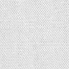 white canvas texture