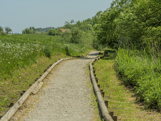 Obraz premium Walking path through beautiful green meadows beside fishing pond.