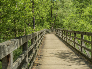 Wooden walking path with fences leading through swamp beside big pond.