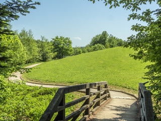 Small wooden bridge on nature walking path beside small pond.