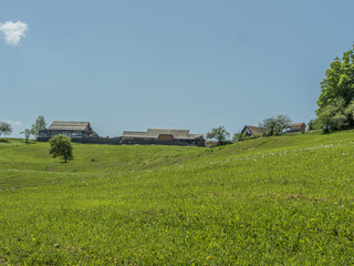 Traditional Slovenian farm with few houses between green meadows.