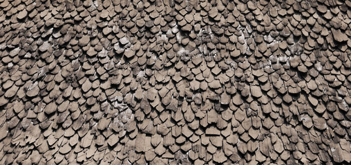 Texture of a shingle Roof
