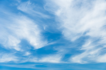 Beautiful cirrocumulus on high altitude layer with blue sky, Wonderful fluffy clouds in summer - obrazy, fototapety, plakaty