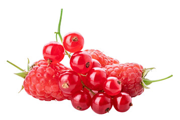 Collection of fresh berries. Raspberry, red currant, gooseberry. Isolated on white background.