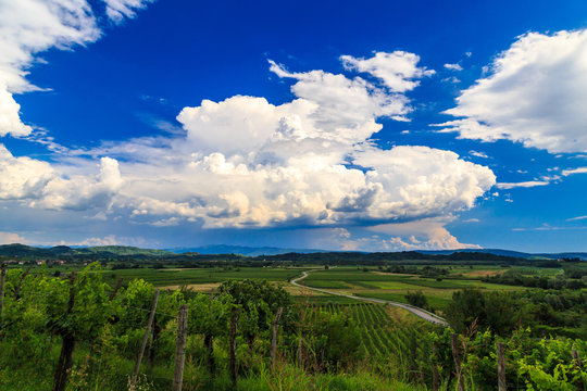 Rain and sun in the vineyards of Slovenia near the Italian border, next to Friuli Venezia-Giulia region. Brda (Collio Sloveno), Slovenia.