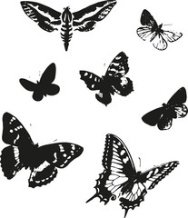 Fototapeta na wymiar mixed butterfly shapes