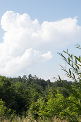 Massive clouds over forest (Prokosovici, Bosnia)
