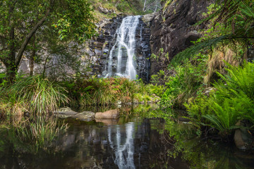 Fototapeta na wymiar Sheoak Falls Victoria Australia 