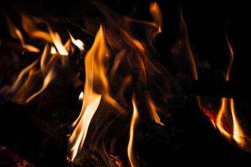 Fire flames close-up on a dark background