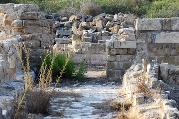 Fototapeta na wymiar old city Salamis Cyprus
