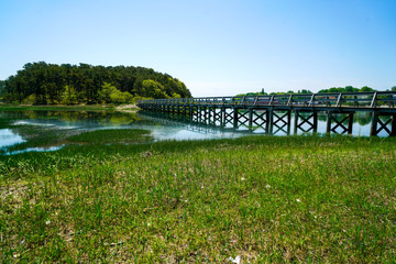 Summer Bridge