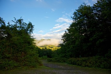 Mountains after rain. Summer season. Valley of the river. Fog over forest.