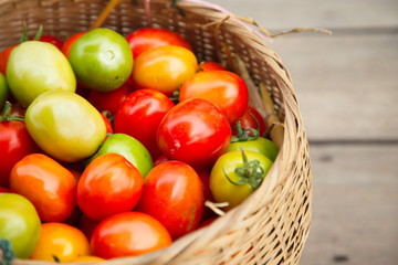 Tomatoes in a basket placed on a wooden floor.
