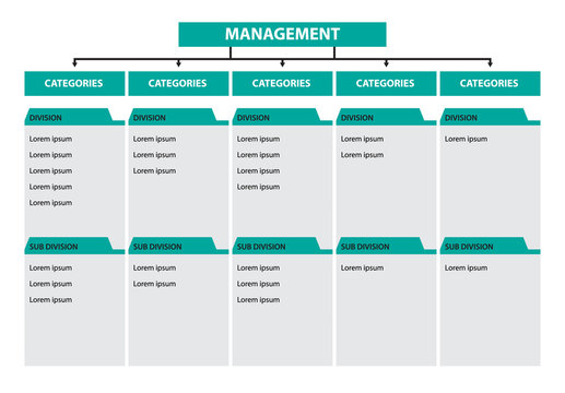 Infographic tree diagram management categories division subdivision timeline