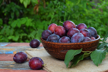 Plums in a clay bowl on a wooden background. Autumn harvest. Organic fruits. Healthy vegetarian food. Raw food. Copy space - Powered by Adobe
