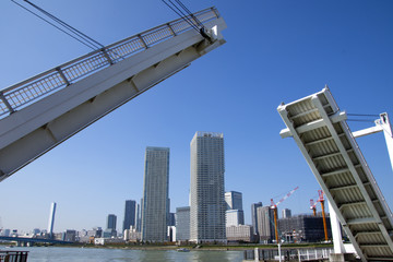 Obraz premium 東京湾豊洲から見たベイエリア