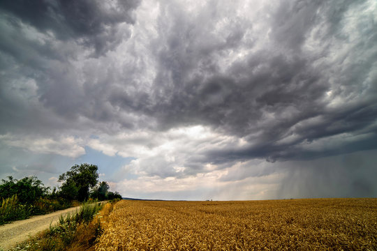 Scenic view of heavy clouds on blue sky background over yellow field. Photo of approaching storm in summer.