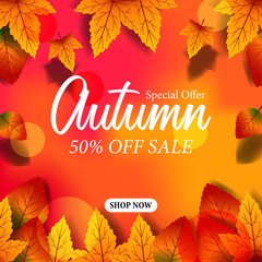 autumn poster fall leaves template. vector illustration. sale autumn template