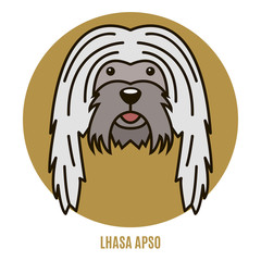 Portrait of Lhasa Apso