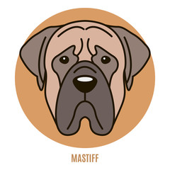 Portrait of Mastiff