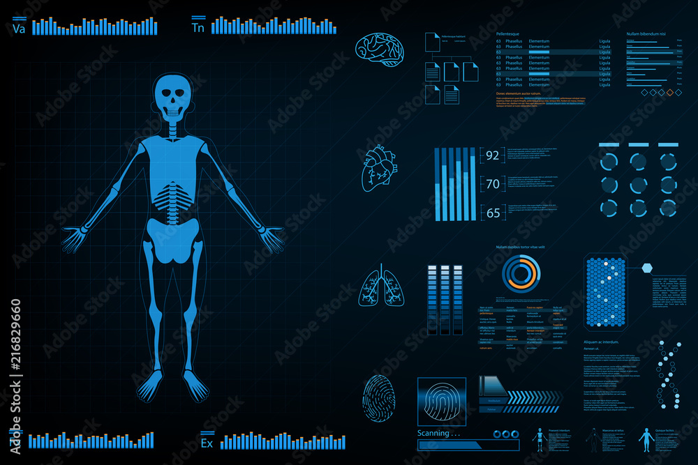 Poster body information futuristic design concept.graph for analysis body and information.vector and illust