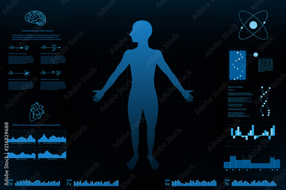Poster body information futuristic design concept.graph for analysis body and information.vector and illust