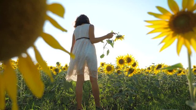 Happy little girl runs happy free across the field with sunflowers. slow motion video. smelling big sunflower on summer field. Delight of a pleasant smell. Summer holiday. concept happiness childhood