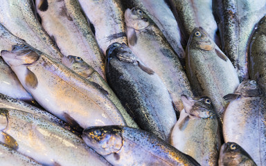 Fresh sea fish background in the Turkish market in Istanbul.