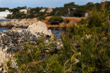 Entre Terre et Mer - Côte d'azur
