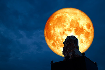 red blood moon back silhouette lion status night sky