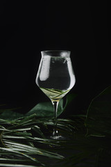 close-up view of glass with refreshing beverage and fresh green tropical leaves on black