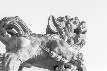 Stone lion in chinese temple
