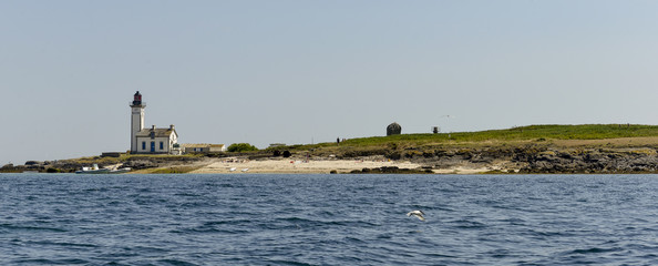 Phare, île aux Moutons, Archipel des Glénan, Réserve ornithologique, Finistère, 29, Bretagne,