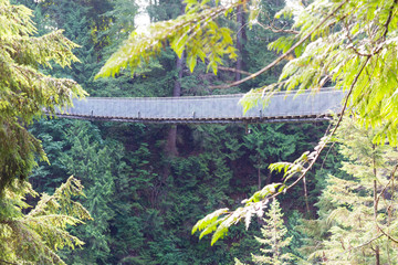 カナダ　バンクーバー　キャピラノ