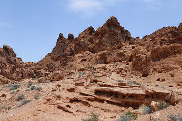 Fototapeta premium Wüste