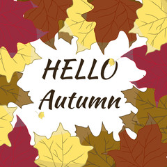 Hello autumn greeting card with leaves on an isolated background