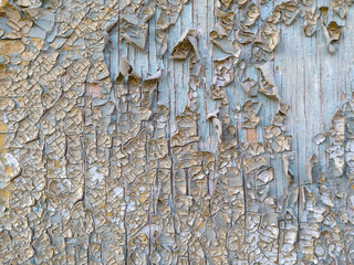 Peeling paint texture on wood board. Photo close-up of vintage weathered wooden surface