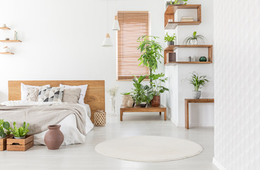 Real photo of a cozy bedroom interior with plants, double bed, round rug and wooden accents