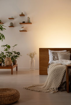 Plants on a low table, pouf, bed with blanket and empty wall in a bedroom interior. Real photo. Place your painting