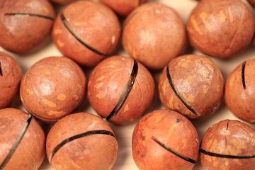 Macadamia nuts