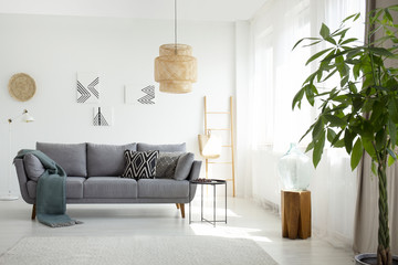 Real photo of a rattan lamp above a gray sofa in boho living room interior with white walls and a tree