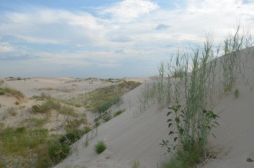 Monaghan's Sandhills State Park, Tx.
Grassy Dunes under the clouds