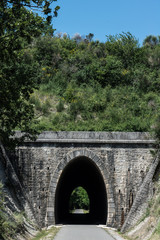 Fototapeta na wymiar Alter Eisenbahntunnel