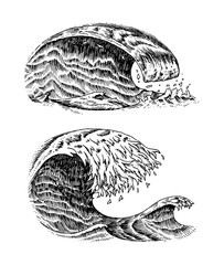Atlantic tidal waves. Vintage old engraved hand drawn labels. Marine and nautical or sea, ocean background for banner or poster. set of Isolated vector illustration.
