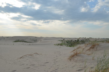 Monaghan's Sandhills State Park, Tx.
Rain may be coming
