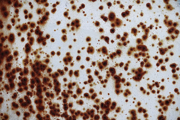 Worn white metal wall with red rusty dots and spots background.