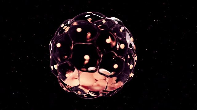 3d rendered medically accurate animation of a blastocyst