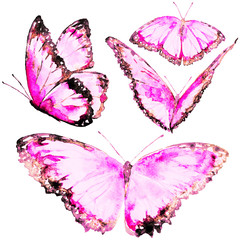 beautiful pink butterflies, set, watercolor, isolated on a white