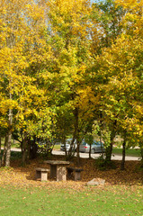Forest of Dean in the autumn of the Gloucestershire countryside of the United Kingdom.