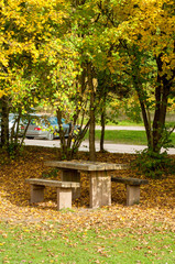 Forest of Dean in the autumn of the Gloucestershire countryside of the United Kingdom.